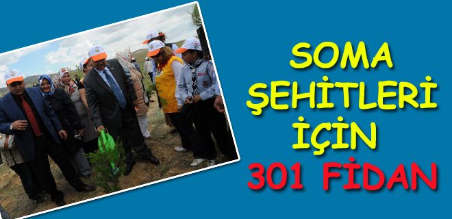 301 şehit için 301 fidan