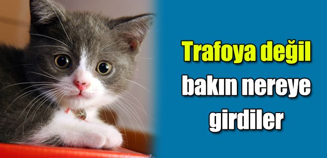 Trafoya değil motora girdiler