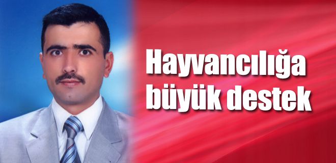Hayvancılara büyük destek 