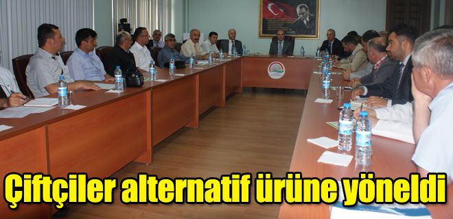 Çiftçiler alternatif ürüne yöneldi 