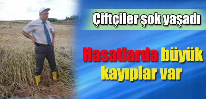 Hasatlarda kayıplar var 
