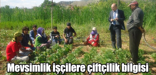 Mevsimlik işçilere çiftçilik bilgisi 