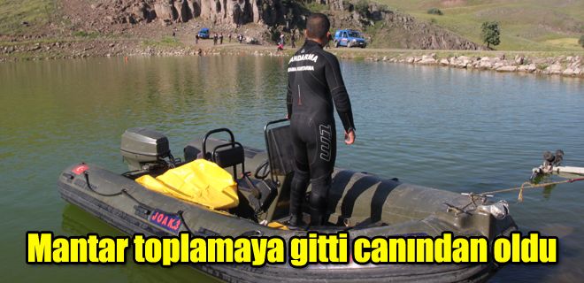 Mantar toplamaya gitti canından oldu 