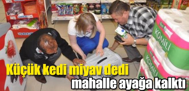  Küçük kedi miyav dedi Mahalle ayağa kalktı 