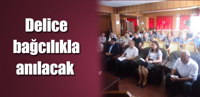 Delice bağcılıkla anılacak 