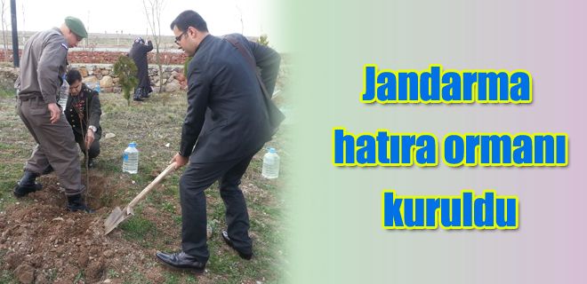 Jandarma hatıra ormanı kuruldu