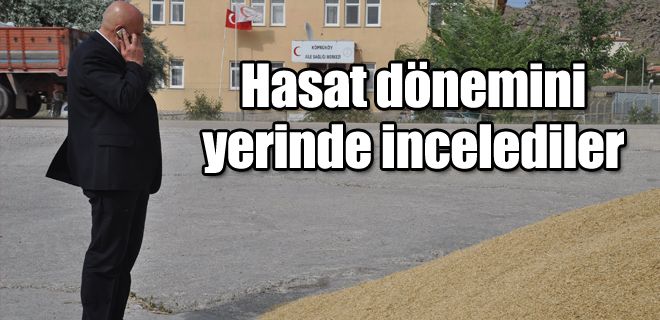 Hasat dönemini yerinde incelediler 