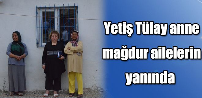  Sosyal konsey ve sosyal yardımlaşma iş birliği
