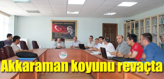 Akkaraman koyunu revaçta 
