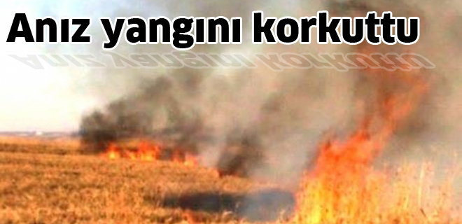 Anız yangını korkuttu