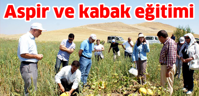 Aspir ve kabak eğitimi