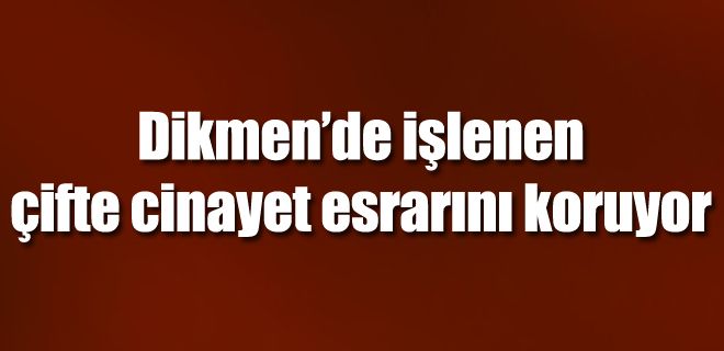  Dikmen