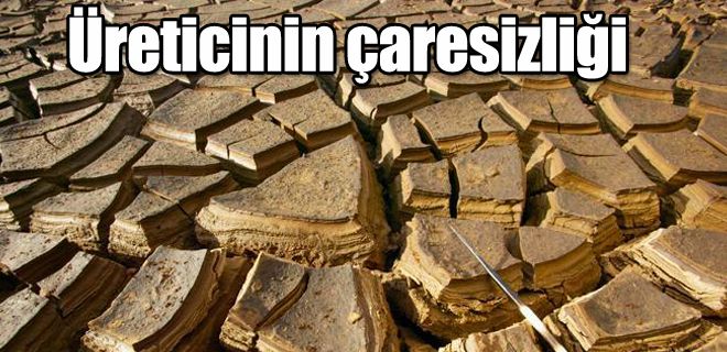 Üreticinin çaresizliği