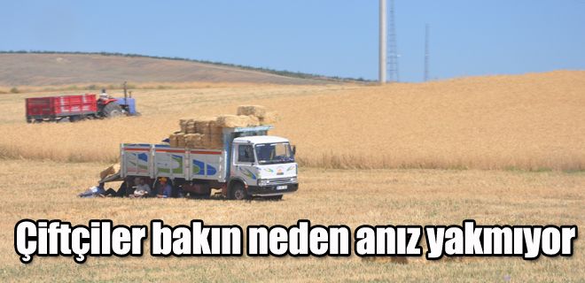 Çiftçiler bakın neden anız yakmıyor