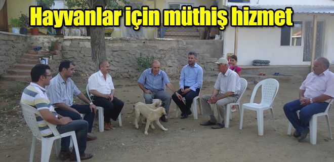 Hayvanlar için müthiş hizmet 