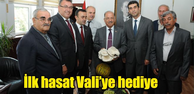 İlk hasat Vali