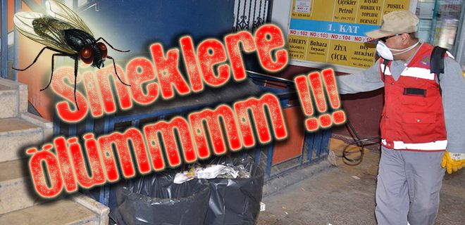 Belediye Sineklere savaş açtı