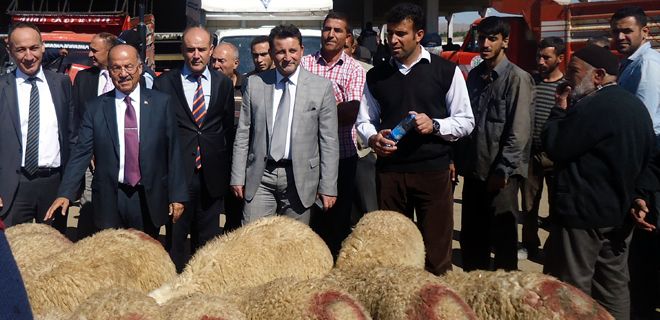 Kurban pazarı mükemmel