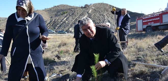 Orman, gelecek nesillere bırakılacak en güzel miras