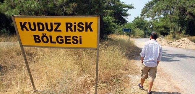 Köyde kuduz tehdidi
