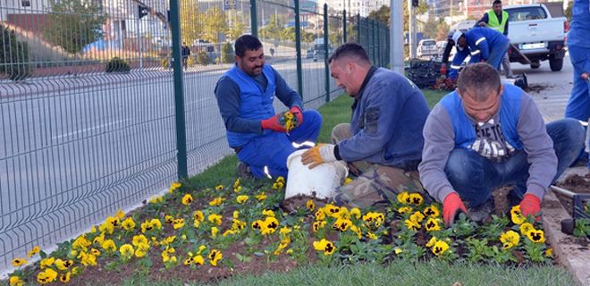 Park ve bahçelerde hummalı çalışma