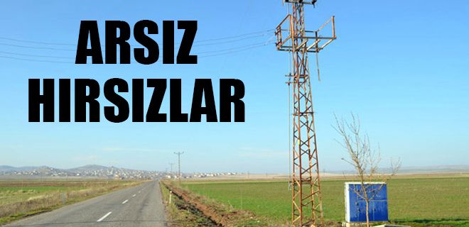 Böyle hırsızlık görülmedi