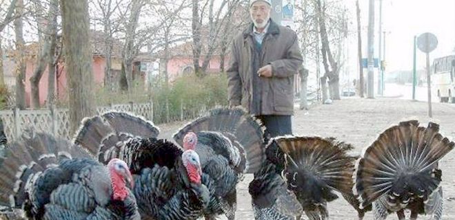 Hindi satışları başladı
