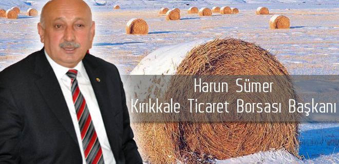 Kar, çiftçinin yüzünü güldürdü