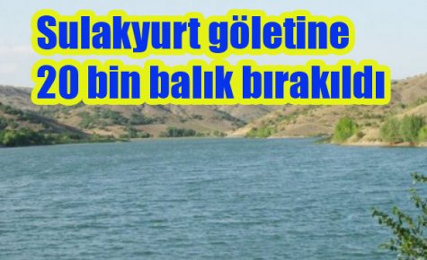 20 BİN SAZAN SULAKYURT?TA