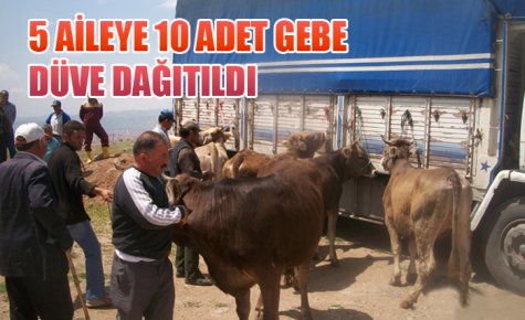 5 AİLEYE 10 ADET GEBE DÜVE DAĞITILDI