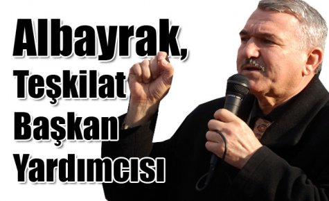 Albayrak, Teşkilat Başkan Yardımcısı
