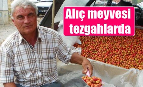 Alıç meyvesi tezgahlarda 