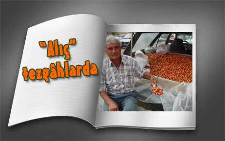 Alıç meyvesi tezgâhlarda 
