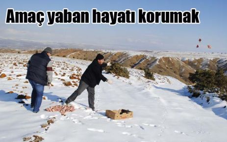 Amaç yaban hayatını korumak
