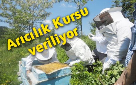 Arıcılık kursu veriliyor