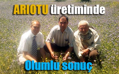 Arıotu üretiminde olumlu sonuç