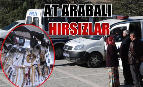 AT ARABALI HIRSIZLIK ÇETESİ 