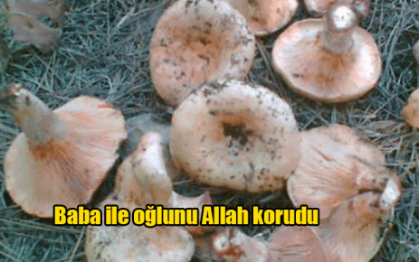 Baba ile oğlunu Allah korudu