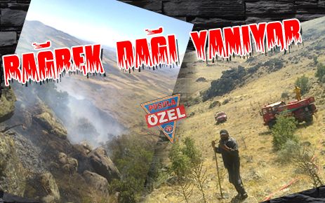 Bağrek Dağı yanıyor