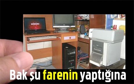 Bak şu farenin yaptığına