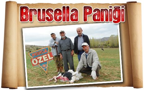 Balışeyh?te Brusella Paniği