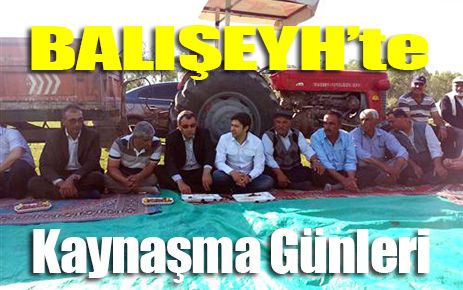 Balışeyh?te kaynaşma günleri 