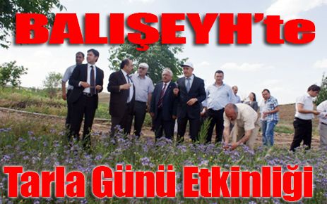 Balışeyh?te tarla günü etkinliği 