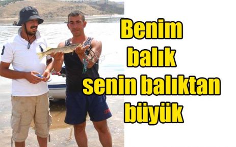 Benim balık senin balıktan büyük