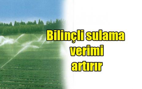 Bilinçli sulama verimi artırır 