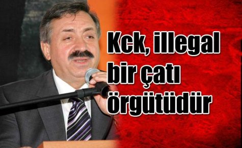 Bir çatı örgütüdür