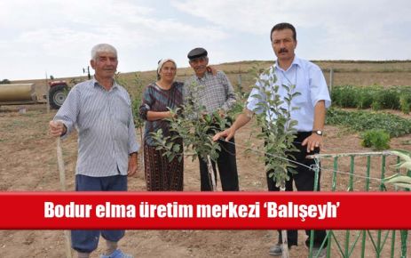 Bodur elma üretim merkezi ?Balışeyh?