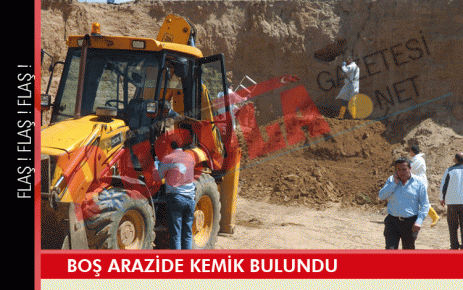 Boş arazide kemik bulundu
