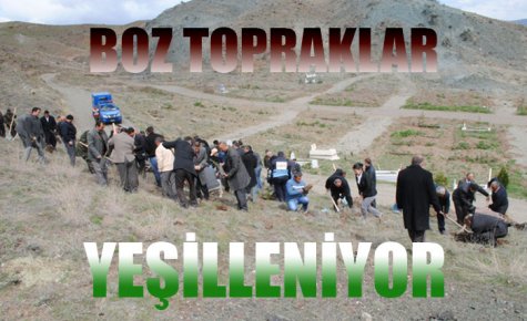 BOZ TOPRAKLAR YEŞİLLENİYOR