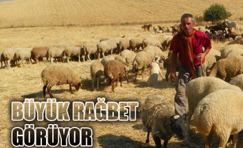BÜYÜK RAĞBET GÖRÜYOR